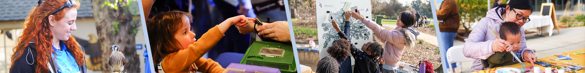 Collage of participants at different Biodiversity Museum Day exhibits.