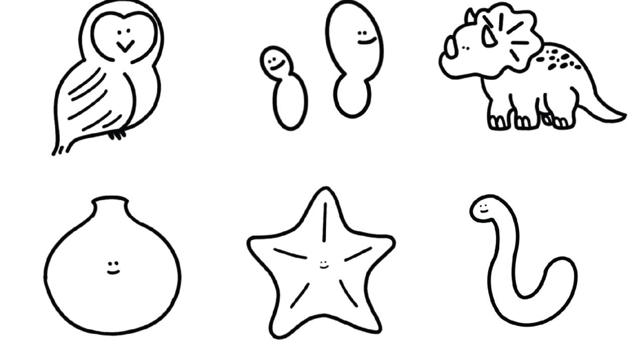 Biodiversity Museum Day Stylized Icons of each collection