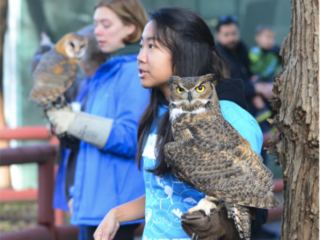 A participant holds an owl on their arm.