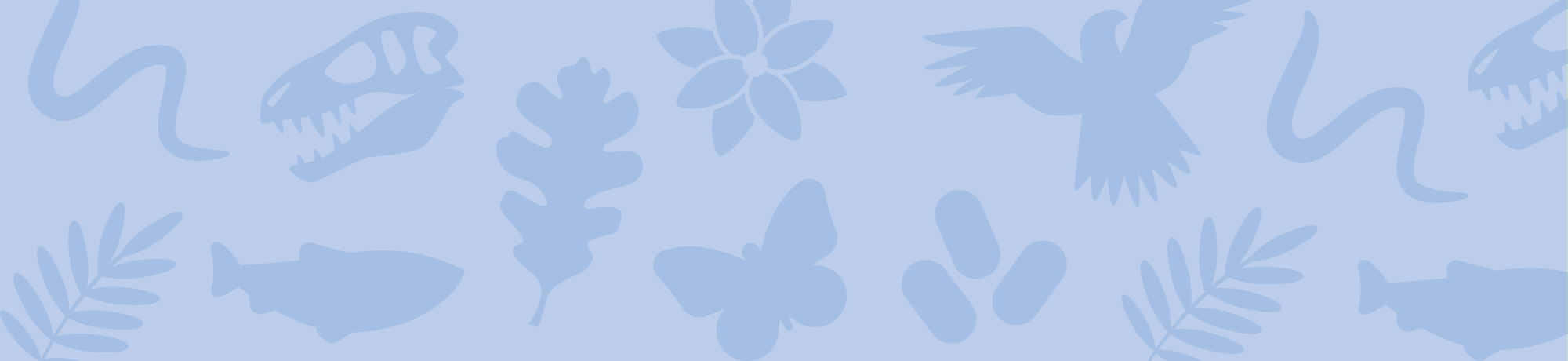 biodiversity museum day graphic banner